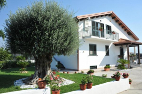 Cascina Fiorita B&B